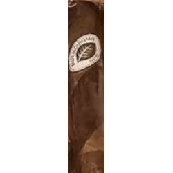 El Macho