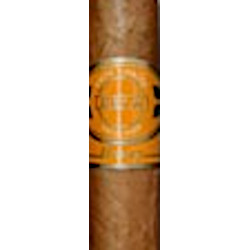 Classic Serie Cuban Bee Honey