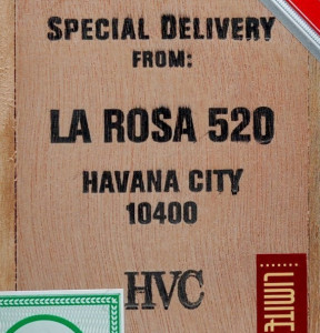 La Rosa 520