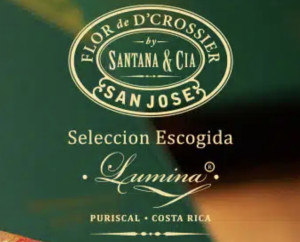 Flor D'Crossier Seleccion Escogida Lumina