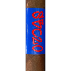 SBC20