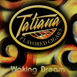 Trio Waking Dream
