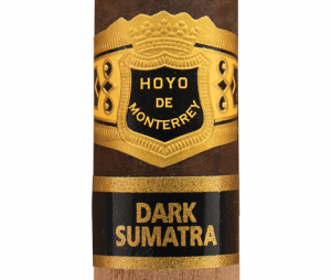 Hoyo Dark Sumatra