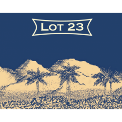 Lot 23