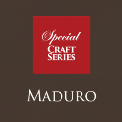 Stout (Maduro)