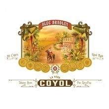 Coyol