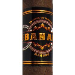 Cubanacan - Maduro