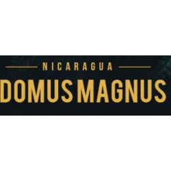 Casa Magna - Domus Magnus