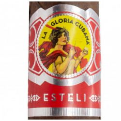 Esteli