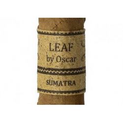 Sumatra