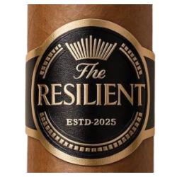 The Resilient