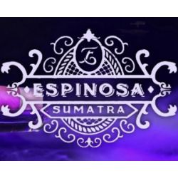 Sumatra