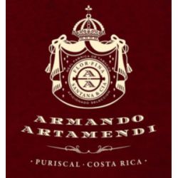 Armando Artamendi