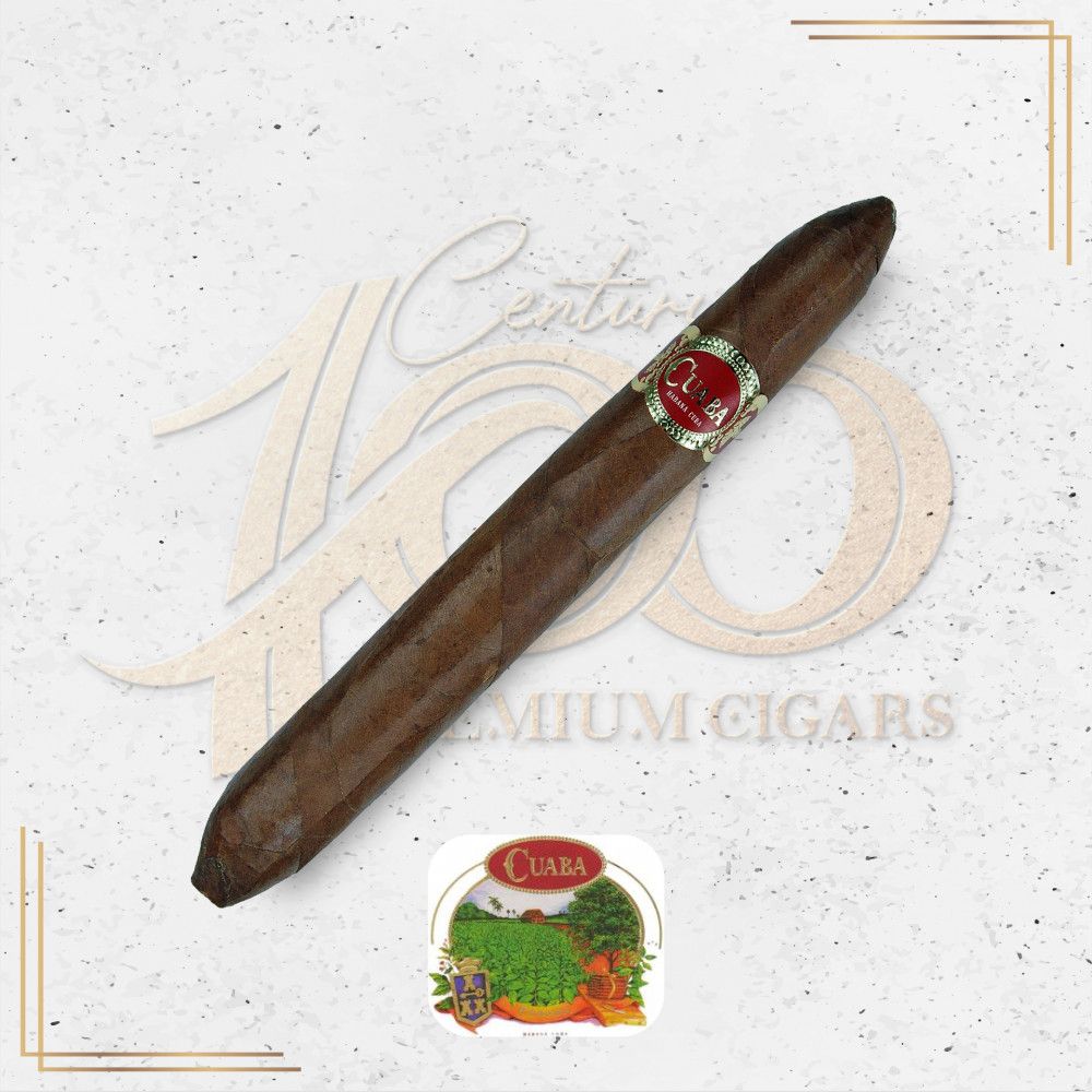 Cuaba - 2011 Coleccion Habanos - Salomones