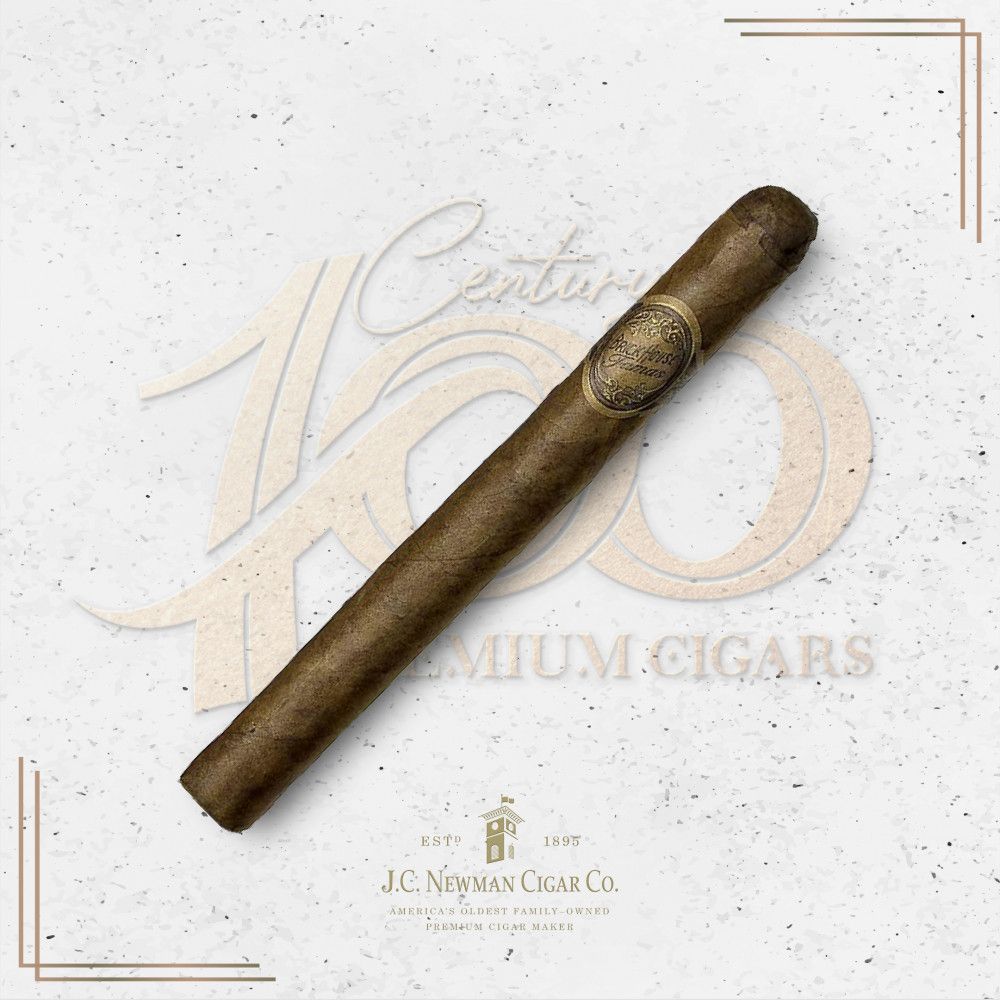 Brick House - Fumas - Churchill
