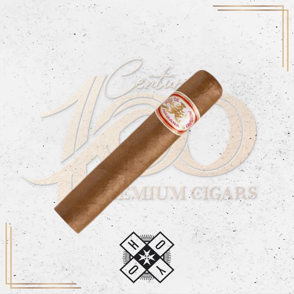 Hoyo de Monterrey (No Cubano) - Hoyo de Monterrey - Churchill