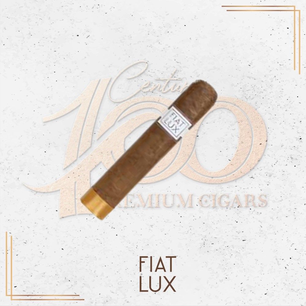 Fiat Lux by Luciano - Insight 