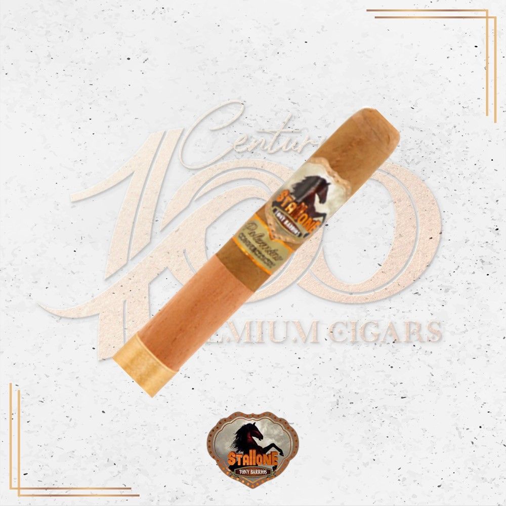 Stallone - Cowboy Palomino Connecticut - Toro