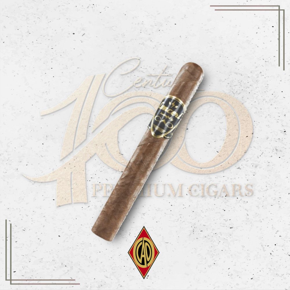 CAO - Concert - AMP
