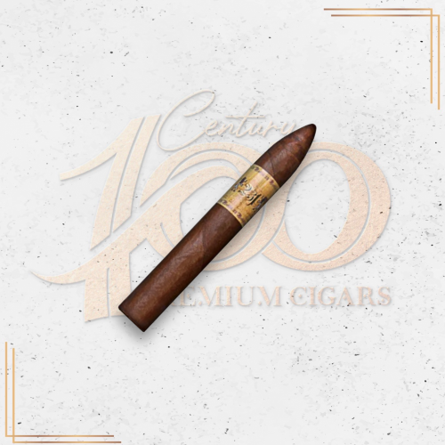 231 Rockhill - Torpedo