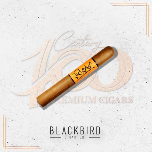 Blackbird - Jackdraw - Gran Toro 