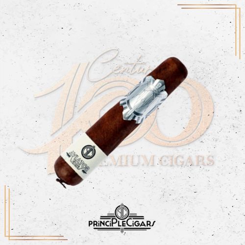 Principle - Aviator Series - Cochon Volant