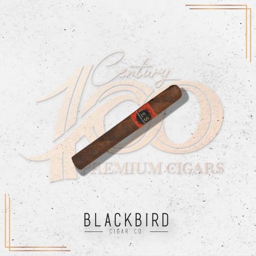 Blackbird - Nest Maduro - Toro