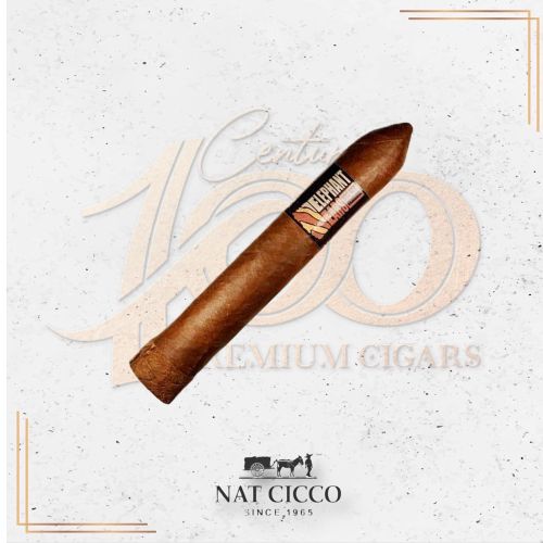 Nat Cicco - Elephant Ears - Elephant Ears