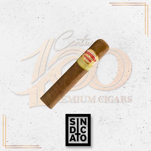 Sindicato - Particulares - Corona Gorda