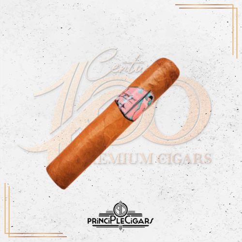 Principle - Angelique - Robusto