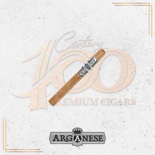 Arganese - Connecticut - Churchill 