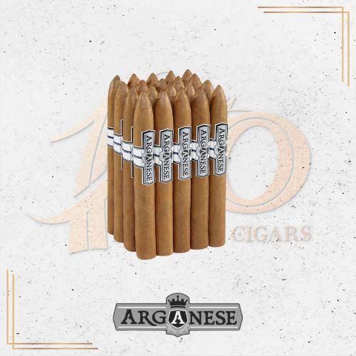 Arganese - Connecticut - Torpedo