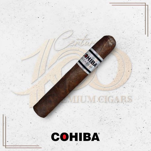 Cohiba (No Cubano) - Macassar - Gigante