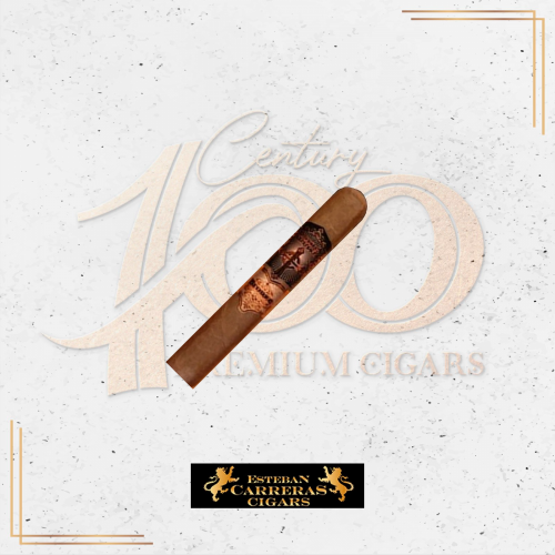 Esteban Carreras - Bronze Cross - Toro
