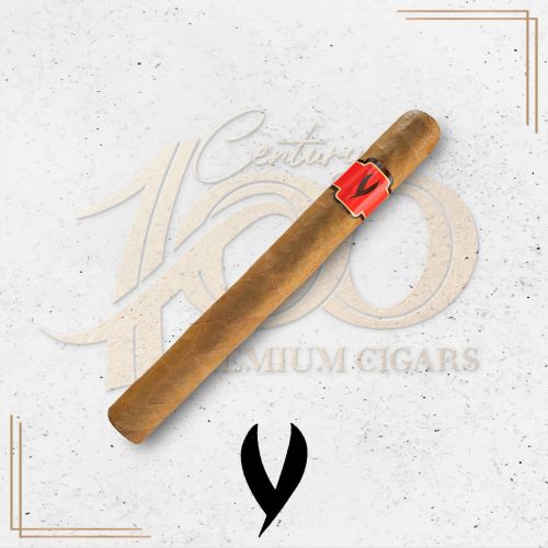 Smoking Jacket - Favoritos