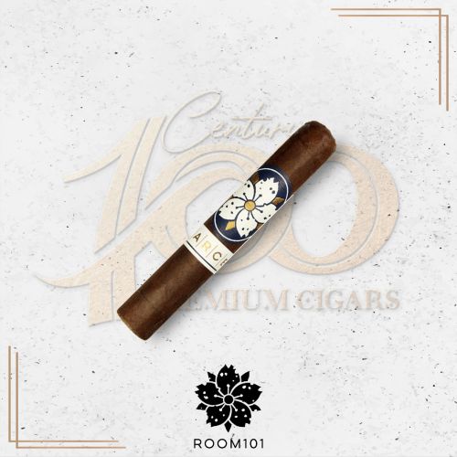 Room 101 - The Farce Maduro - Papi chulo 